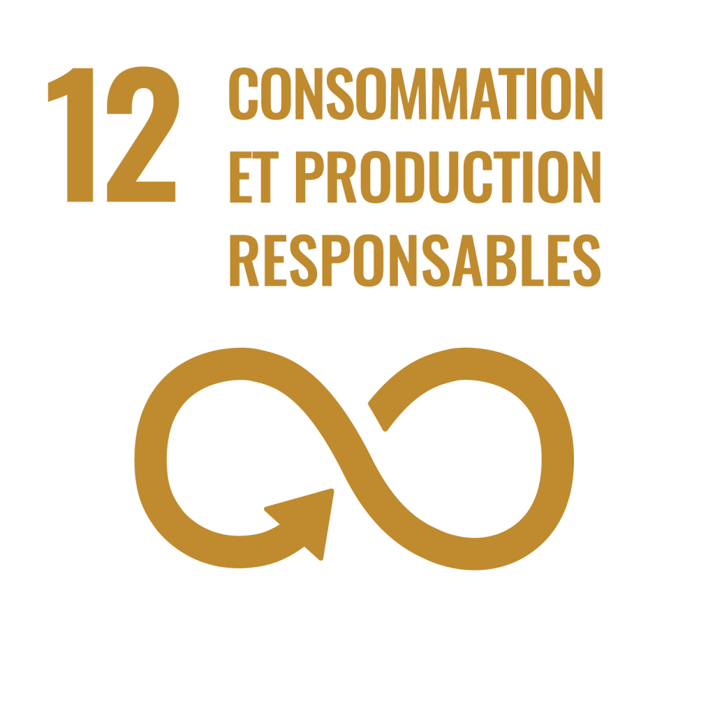 ODD 12 - Consommation responsable