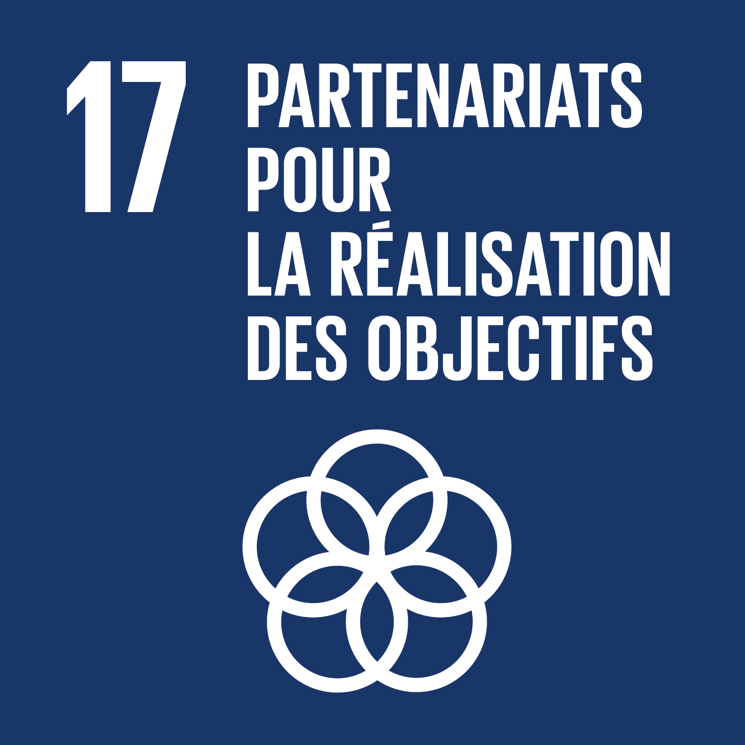 ODD 17 - Partenariats