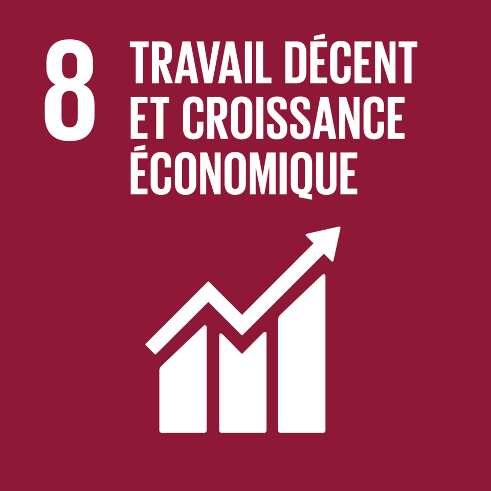 ODD 8 - Travail décent